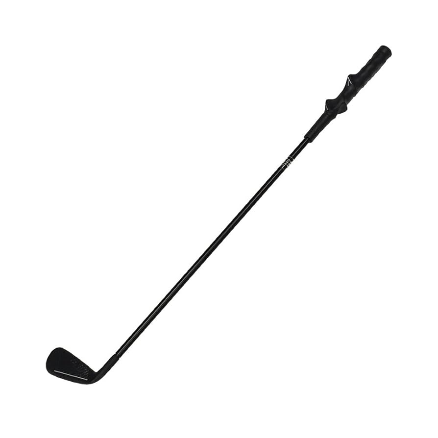 ゴルフスイングトレーナー 71c4UAnlQyL._UF350,350_QL50_.jpg